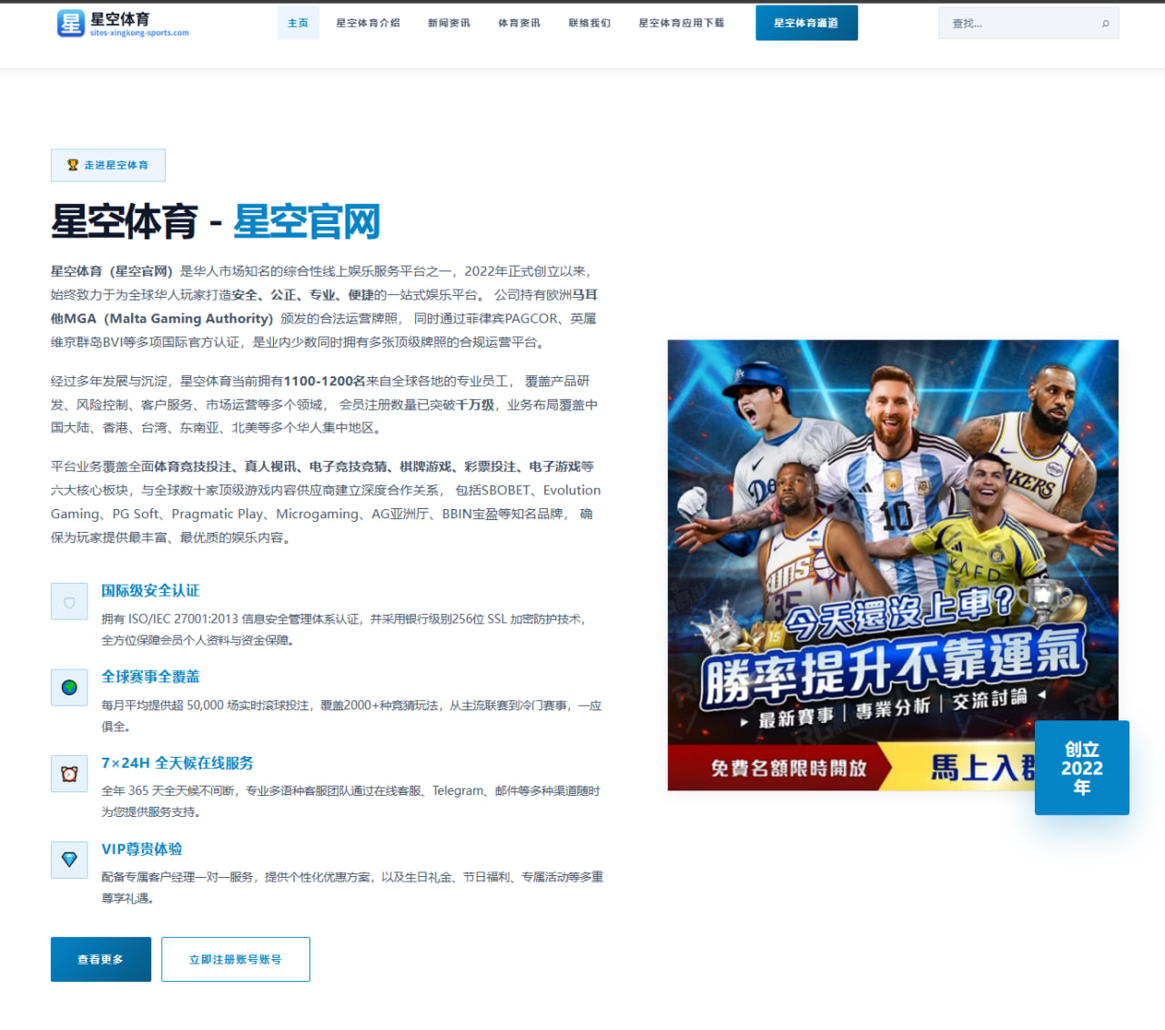 马哈切夫降服绝技：轻量级站立高手如何智斗地面危机