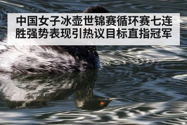 中国女子冰壶世锦赛循环赛七连胜强势表现引热议目标直指冠军