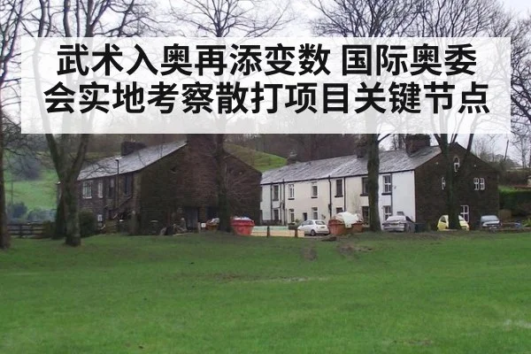 武术入奥再添变数 国际奥委会实地考察散打项目关键节点